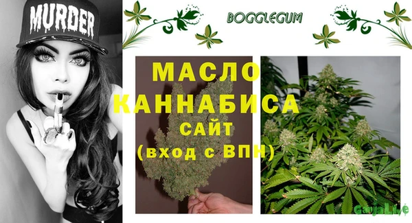 молекула духа Богородск