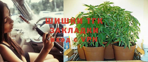 молекула духа Богородск
