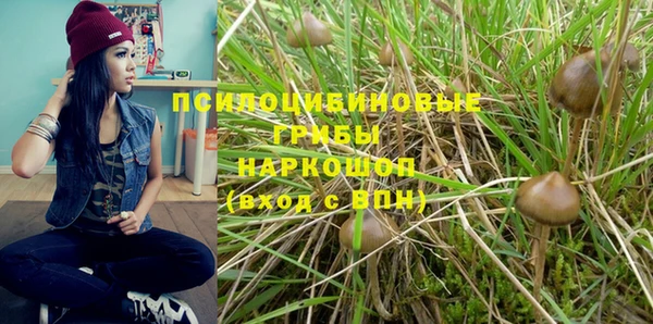 марки lsd Богданович