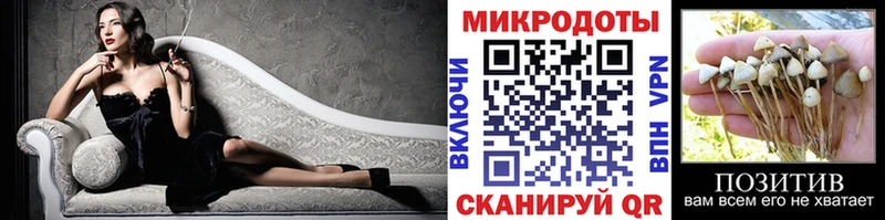 hydra tor  Чадан  Псилоцибиновые грибы GOLDEN TEACHER 